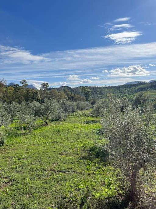 Casa La Fuente Alta Villa Algodonales Eksteriør billede