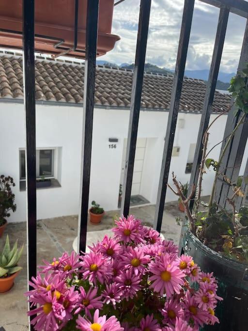 Casa La Fuente Alta Villa Algodonales Eksteriør billede