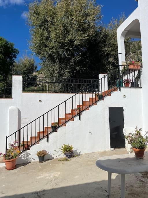 Casa La Fuente Alta Villa Algodonales Eksteriør billede